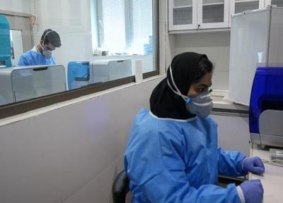 تیر 1400 خوشبینانه ترین زمان برای فراوری واکسن ایرانی کرونا