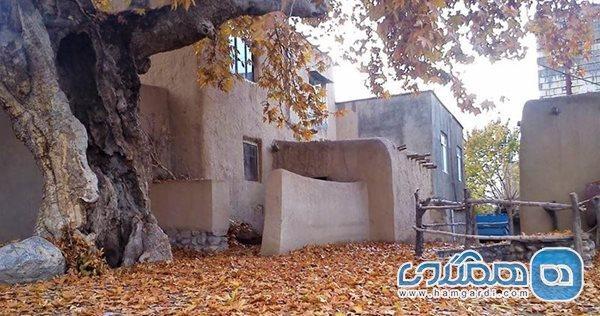 رشد گردشگری زمینه ساز مهاجرت معکوس و رونق سایر مشاغل شد