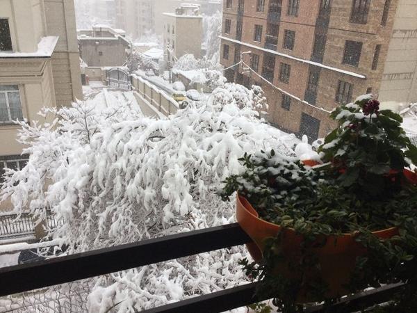 برف و کولاک در تهران، احتمال یخبندان در شمال شهر